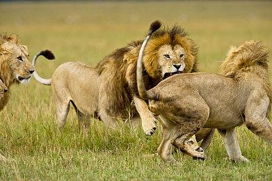 《永劫无间》首次折扣低至6折， 新赛季破阵开启！